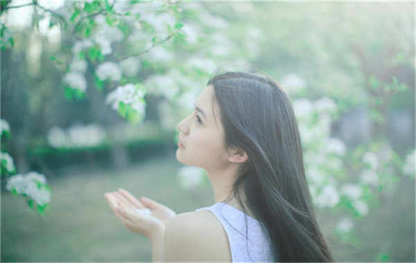 昌邑验血查男女几周可以验(验血查男女结果图)